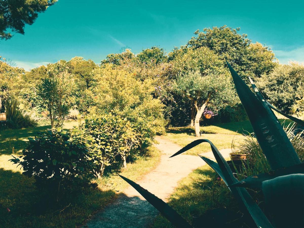 Quinta Das Almas São Roque do Pico Buitenkant foto
