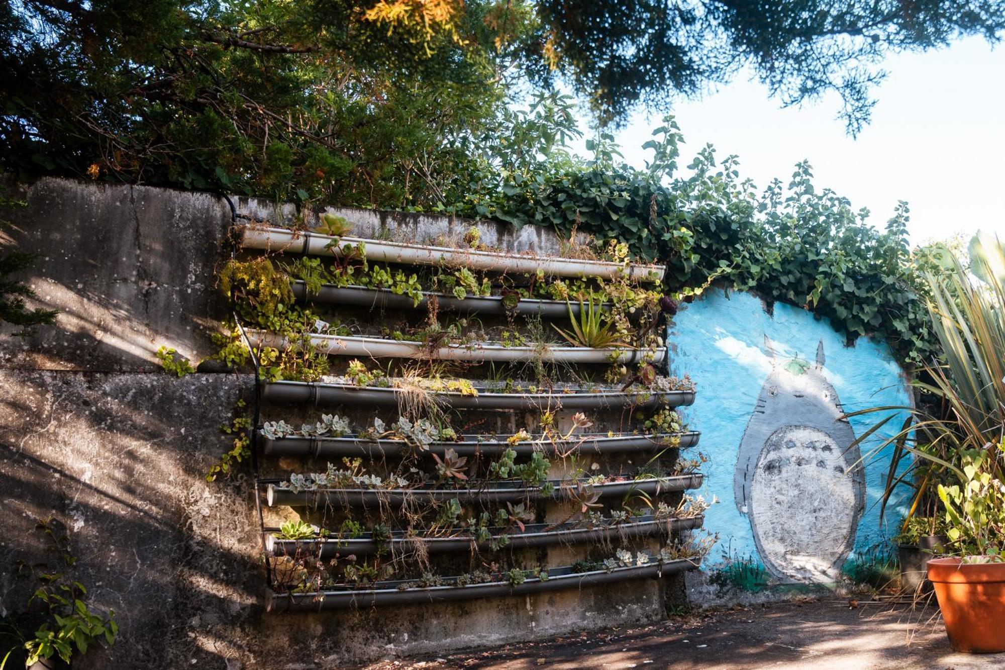 Quinta Das Almas São Roque do Pico Buitenkant foto